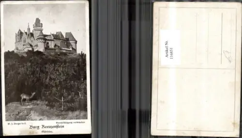 116851,Burg Kreuzenstein Südseite Reh i. Vordergrund