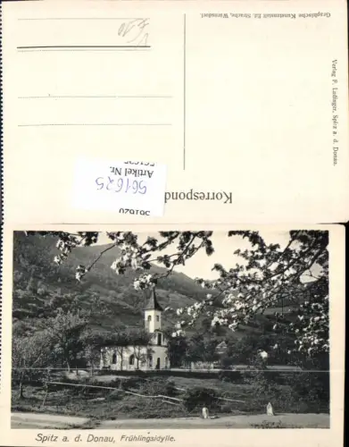 561625,Spitz a. d. Donau Wachau Frühlingsidylle pub F. Ladinger