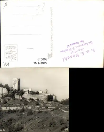 590919,Foto Ak Ruine Hinterhaus Spitz a. d. Donau Wachau