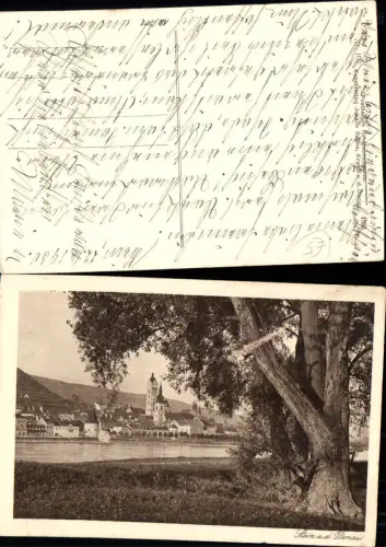 701170 Stein an der Donau Krems Baum