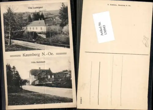 130943,Kaumberg Villa Steinbach Villa Ludwighof Tolle Seltene AK