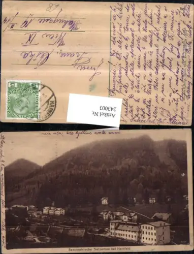 243003,Salzerbad b. Hainfeld