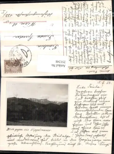 251248,Hohenberg Blick geg. d. Gippelmauer Bergkulisse