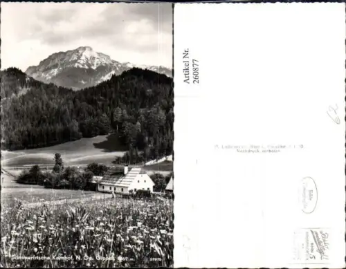 260877,Kernhof b. St. Aegyd am Neuwalde m. Gippel Bergkulisse