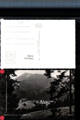 312991,Türnitz Teilansicht geg. Türnitzer Höger Bergkulisse