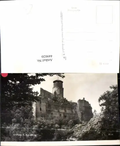 449020,Araburg Burg b. Kaumberg