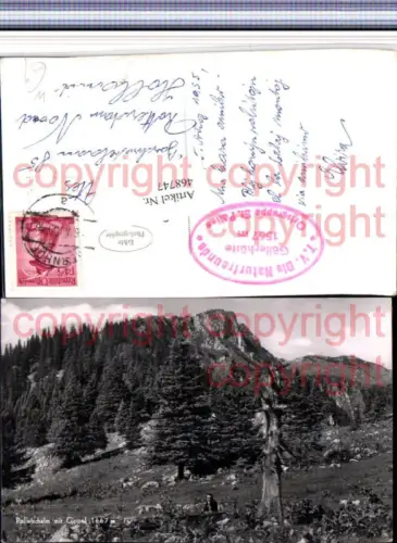 468747,Pollwischalm b. St. Aegyd am Neuwalde m. Gippel