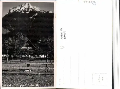 499708,Kernhof b. St. Aegyd am Neuwalde Wegkreuz m. Gippel Bergkulisse