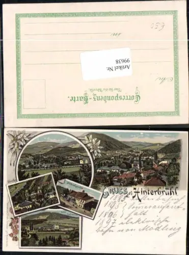 99638,Tolle Litho Gruss aus Hinterbrühl Mödling Höldrichsmühle