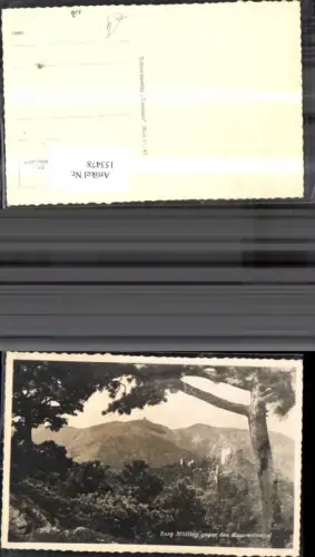 153478,Burg Mödling geg. d. Husarentempel