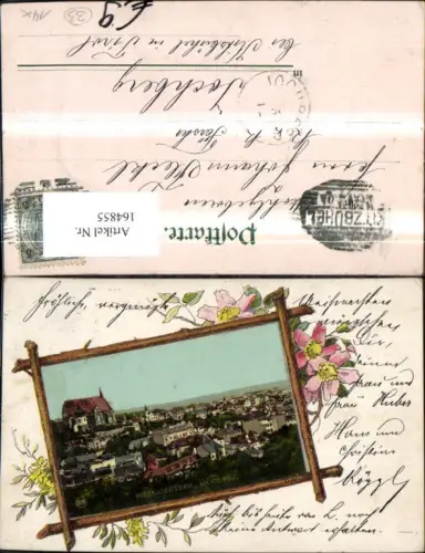 164855,Mödling Rahmen Ak Blumenranke