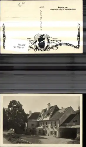 206708,Höldrichsmühle i. d. Hinterbrühl b. Mödling