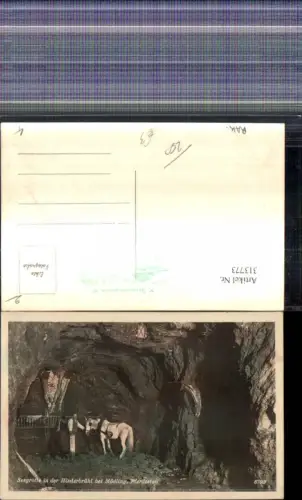 313773,Seegrotte i. d. Hinterbrühl b. Mödling Pferdestall