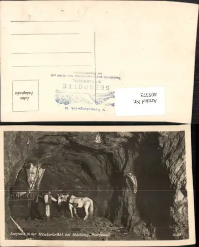 405375,Hinterbrühl b. Mödling Seegrotte Pferdestall Pferd