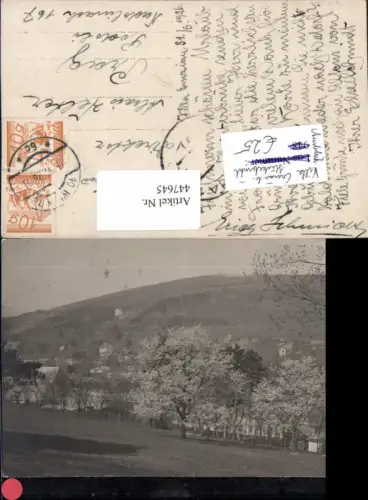 447645,Foto AK Hinterbrühl b. Mödling Villa Enzian Ausblick Baumblüte