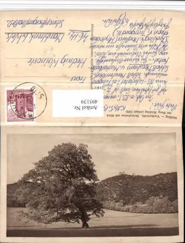 495139,Mödling Vorderbrühl Meiereiwiese m. Blick zur Burg Mödling