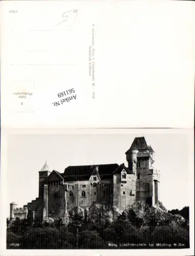 561169,Foto Ak Burg Liechtenstein b. Mödling