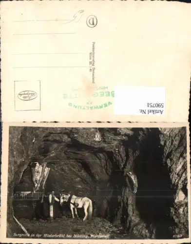 590751,Foto Ak Seegrotte Hinterbrühl b. Mödling Pferd