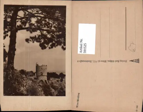 591525,Mödling Schwarzer Turm