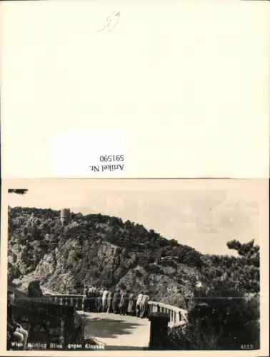 591590,Mödling Blick geg. Klausen