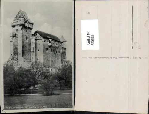 650193,Maria Enzersdorf Burg Liechtenstein b. Mödling