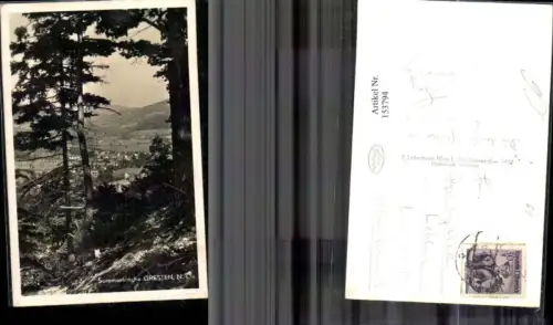 153794,Gresten Ansicht m. Bäumen