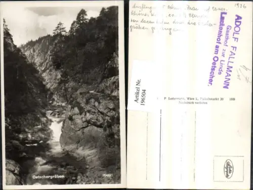 196504,Ötschergräben Tormäuer b. Gaming Kienberg Buchenstuben Partie