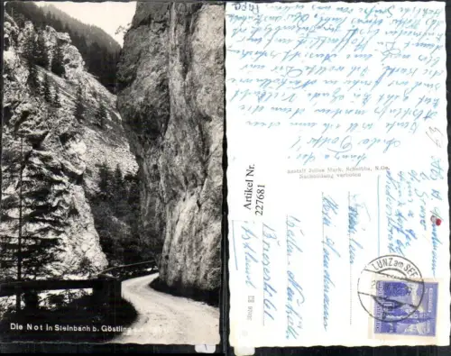 227681,Die Not in Steinbach b. Göstling a. d. Ybbs Partie