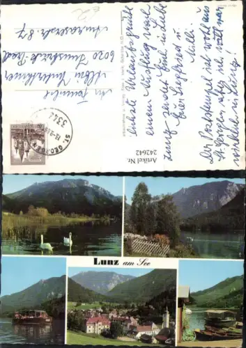 242642,Lunz am See Totale Ruderboote Boot Schwäne Mehrbildkarte