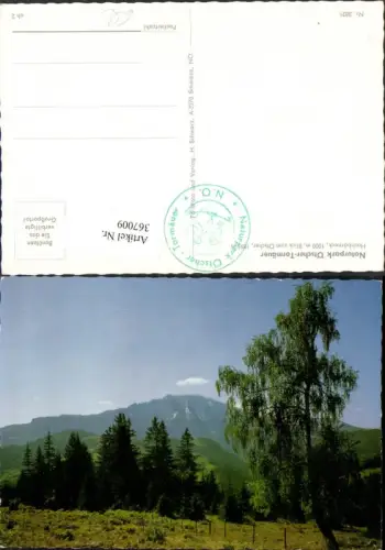 367009,Naturpark Ötscher Tormäuer Hochbärneck m. Ötscher b. St. Anton Bergkulisse