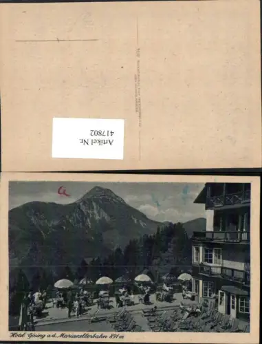417802,Gösing an d. Mariazellerbahn Hotel Terrasse Bergkulisse