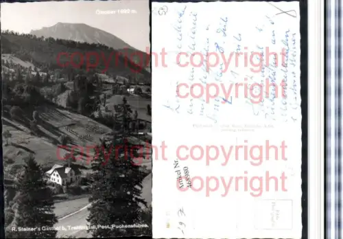 468980,R. Steiners Gasthof b. Trefflingfall Puchenstuben m. Ötscher