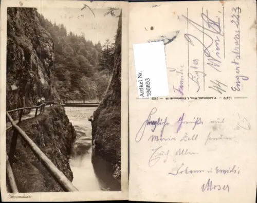 590893,Thormäuer Tormäuer Gaming Kienberg