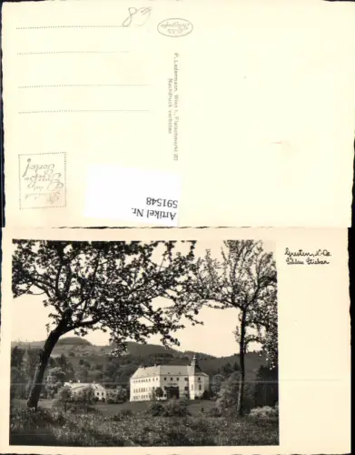 591548,Foto Ak Gresten Schloss Stiebar