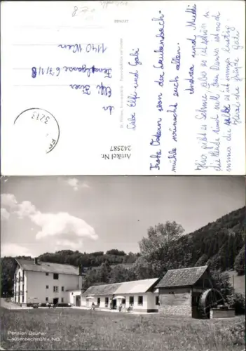 242587,Pension Daurer Laubenbachmühle b. Frankenfels Wassermühle
