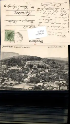 613919,Pressbaum Tullnerbach Pensionat Scre Coeur pub Ledermann 1854