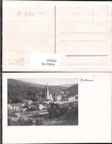 220262,Preßbaum Pressbaum b. Wien Teilansicht