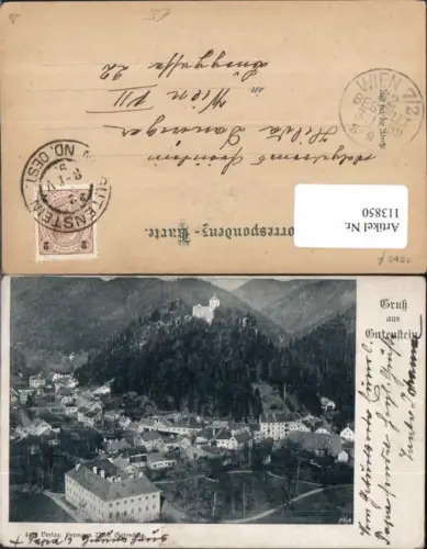 113850,Gruss aus Gutenstein Totale 1898