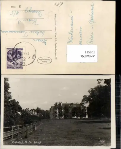 120511,Frohsdorf Partie am Schloss 1950 Lanzenkirchen Wiener Neustadt