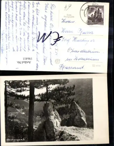 196411,Foto Ak Piesting Piestingtal Ansicht m. Felsen Bäume