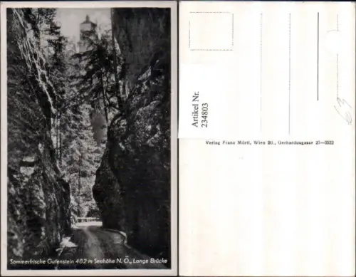 234803,Gutenstein Lange Brücke m. Burgruine