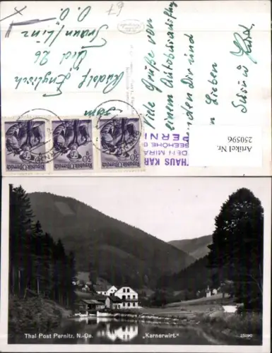 250596,Thal b. Pernitz Gasthaus Karnerwirt