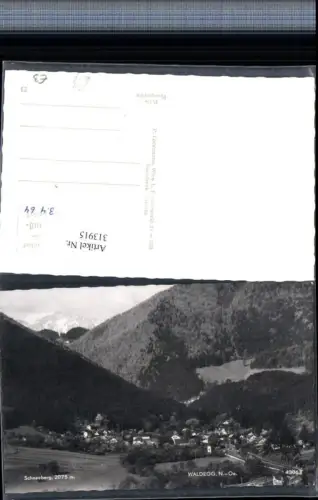 313915,Waldegg Totale m. Schneeberg Bergkulisse