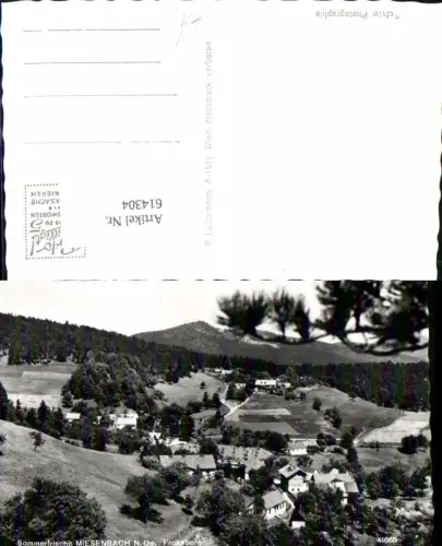 614304,Frohnberg bei Miesenbach