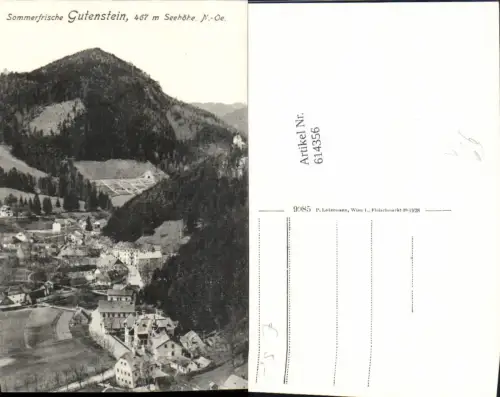 614356,Gutenstein pub Ledermann 9985