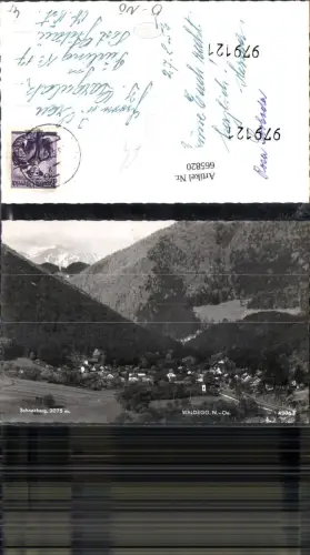 665820,Foto Ak Waldegg mit Schneeberg