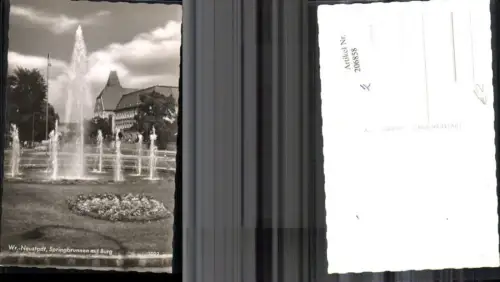 206858,Wiener Neustadt Springbrunnen m. Burg Brunnen Foto Ak