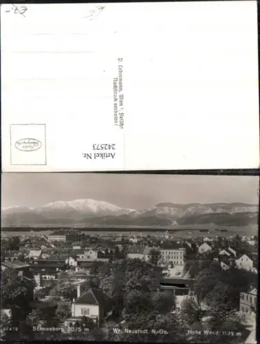242573,Wiener Neustadt Totale m. Schneeberg u. Hohe Wand
