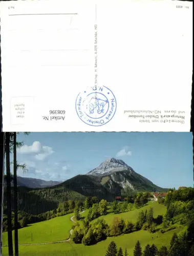 608396,Naturpark Ötscher Tormäuer Puchenstuben Blick auf Ötscher