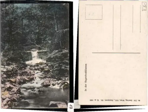 61590,Hagenbachklamm bei St Andrä Wördern